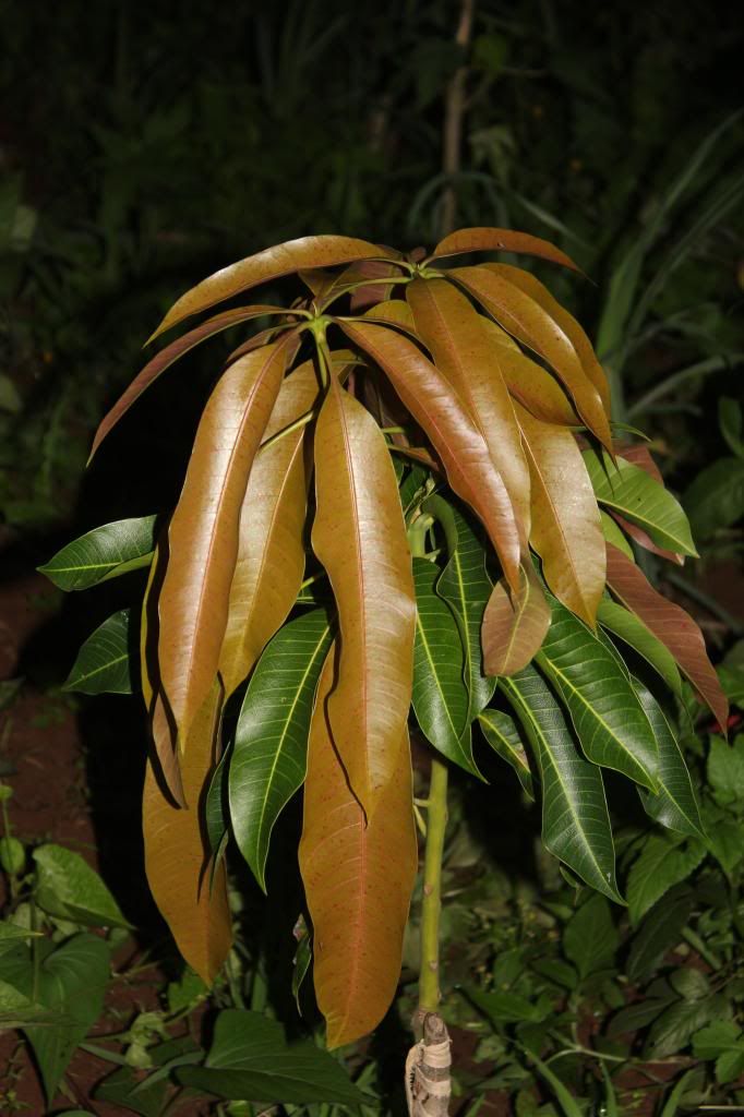 November Harvest, 2012 =)